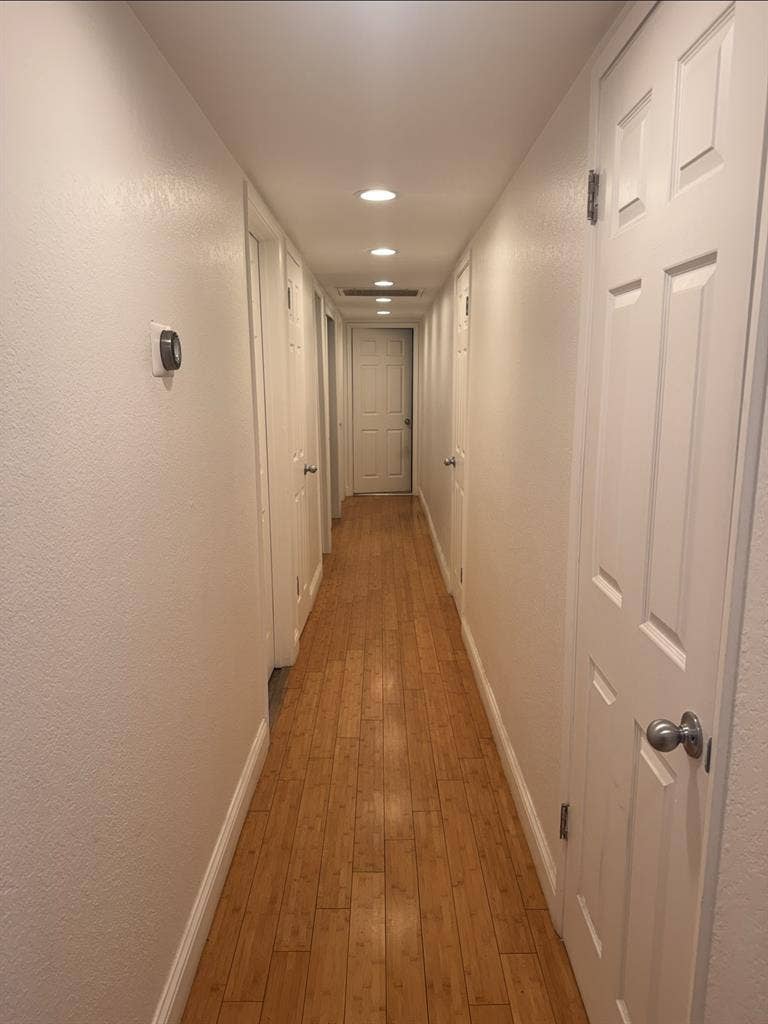 Roommate Needed