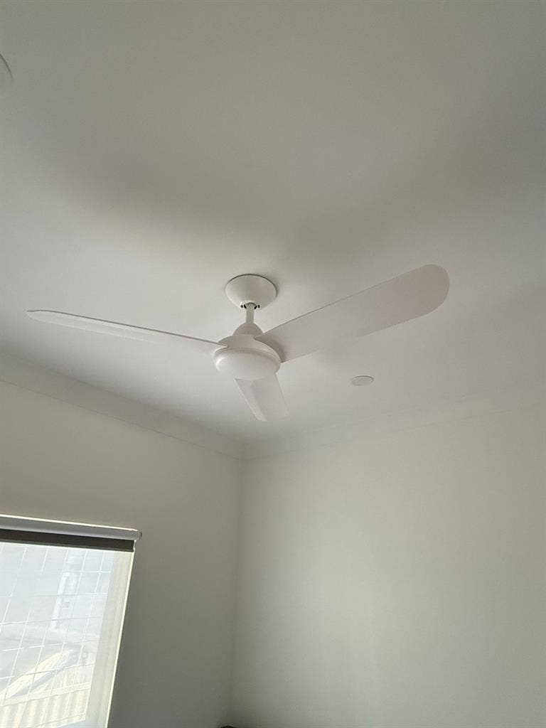 Spacious 3 bedroom in Croydon Park