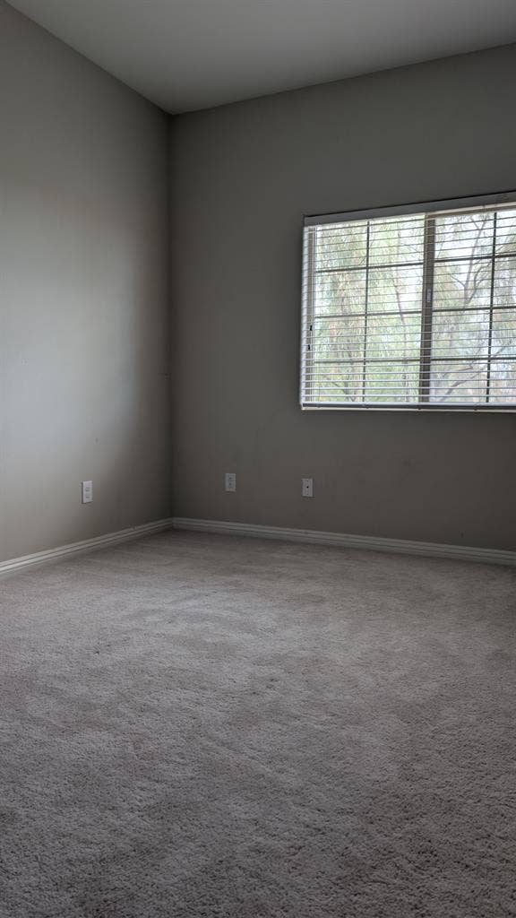 Private bedroom for rent