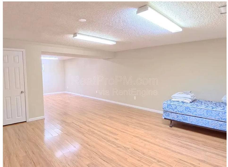 Room/Basement for Rent