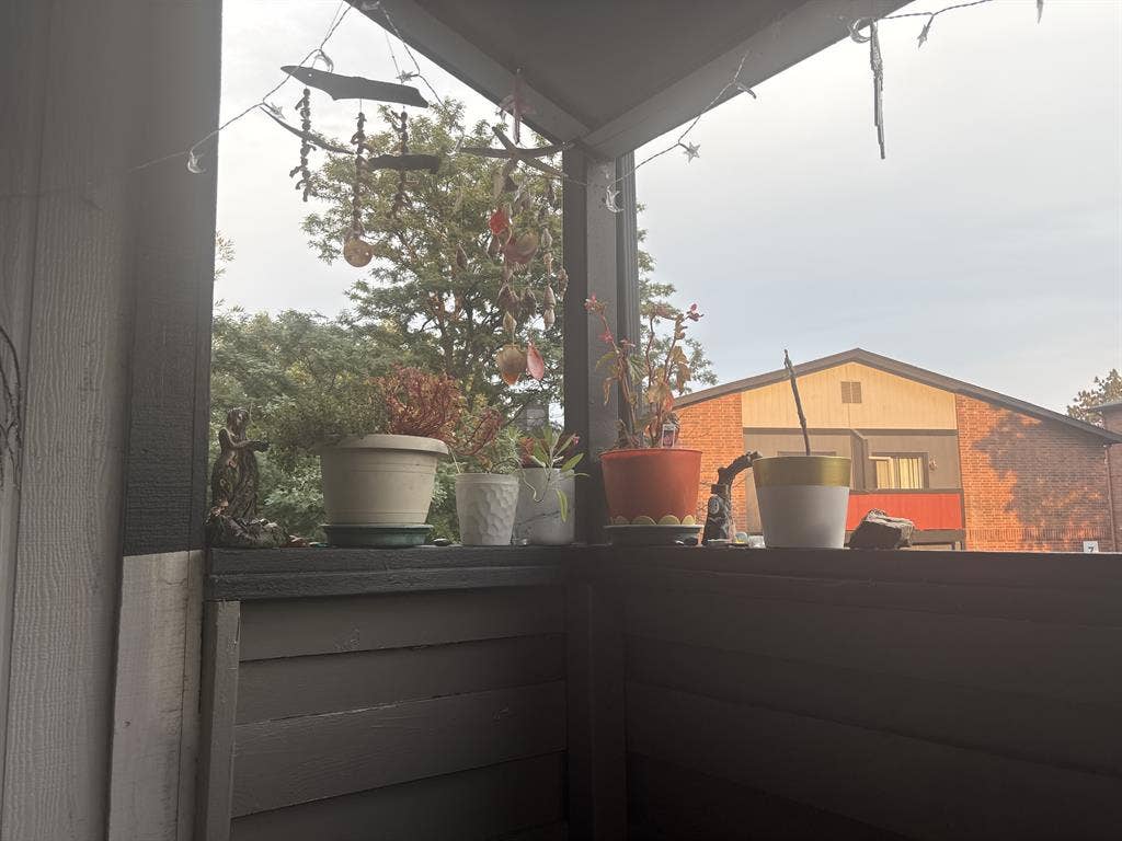 New Listing- Room for Rent