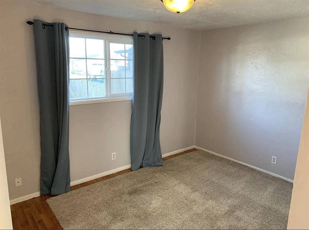 Looking for a roommate