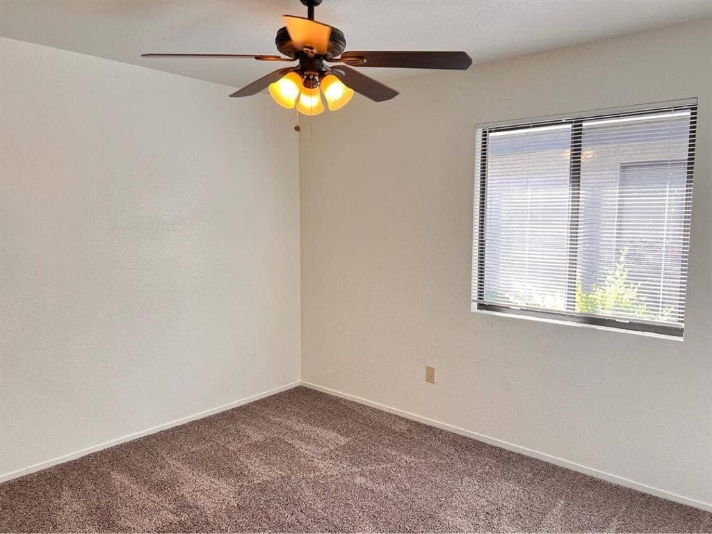 Looking for a female roommate.
