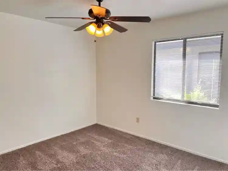 Looking for a female roommate.