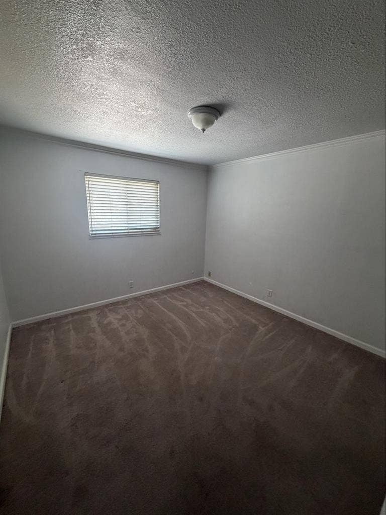 Room available for rent!