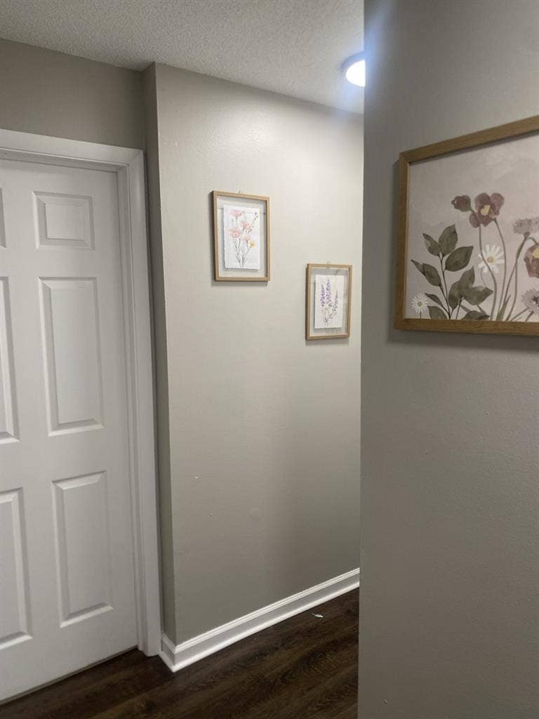 OPEN ROOM FOR RENT