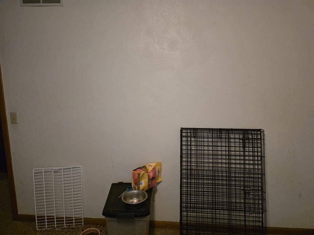 Offering room in 3 bedroom duplex