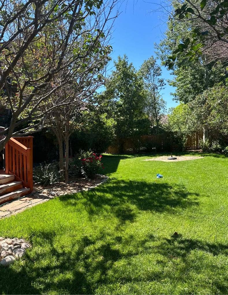 Looking for a roommate!