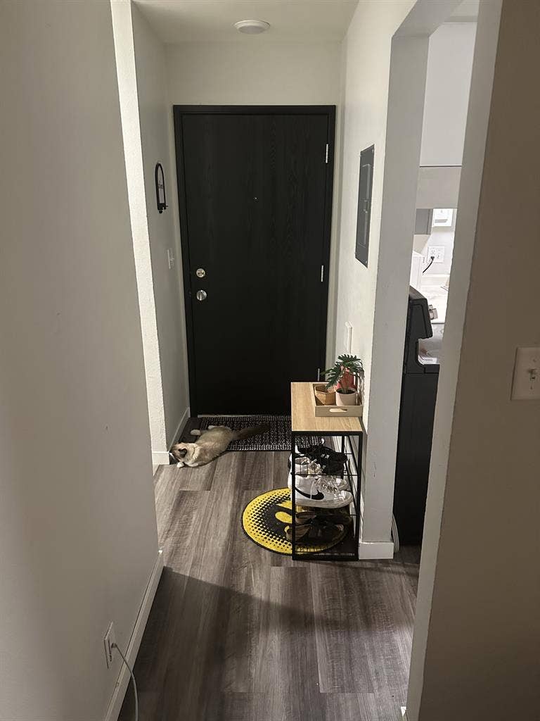 Female roommate wanted