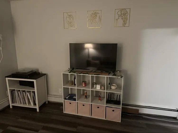Female roommate wanted