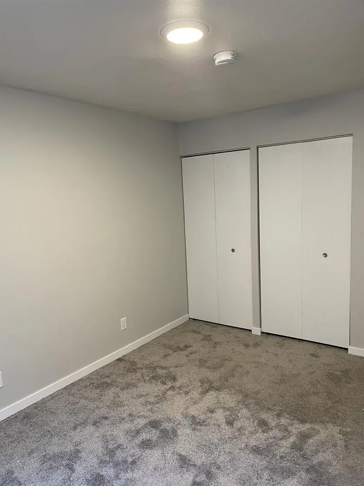 Female roommate wanted