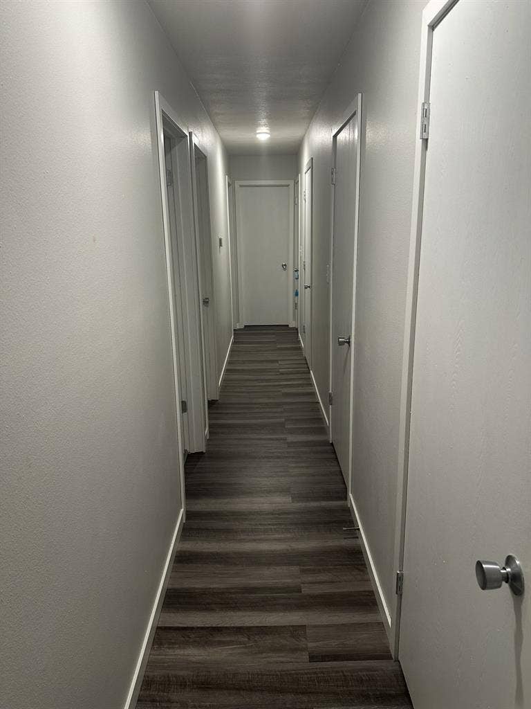 Female roommate wanted