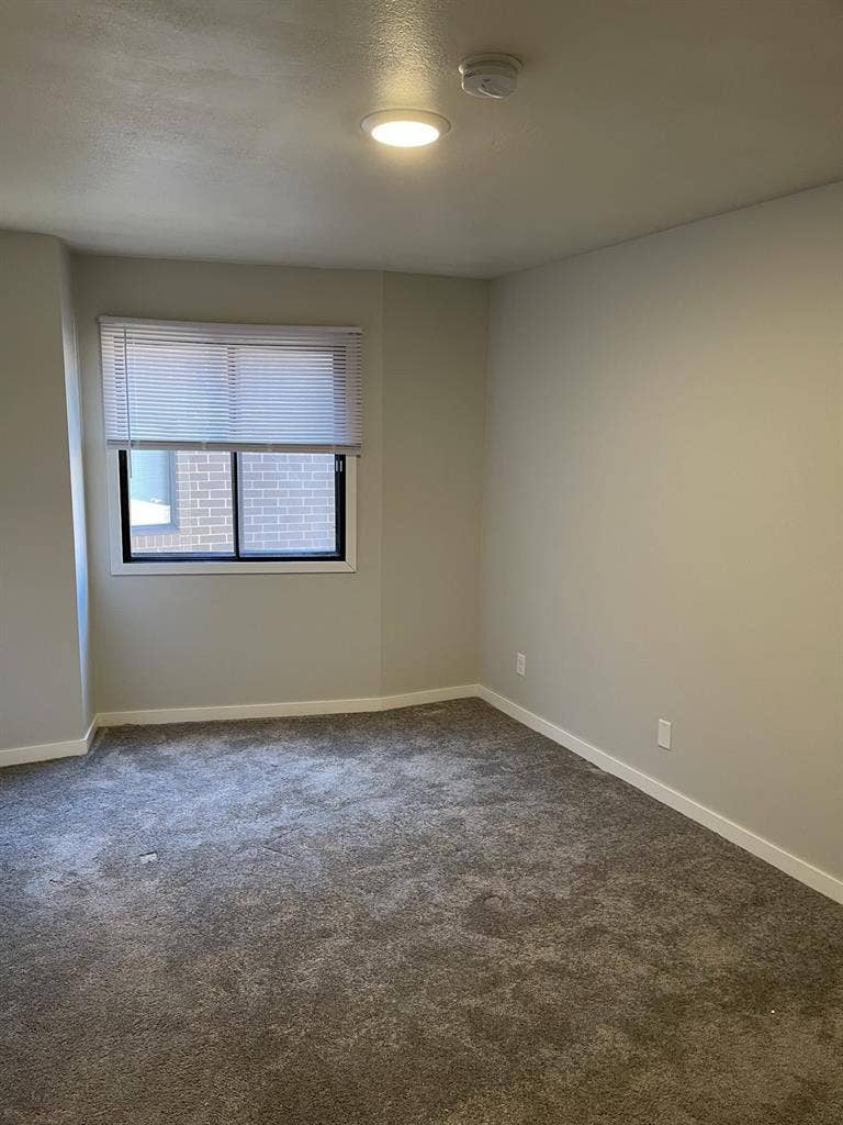 Female roommate wanted