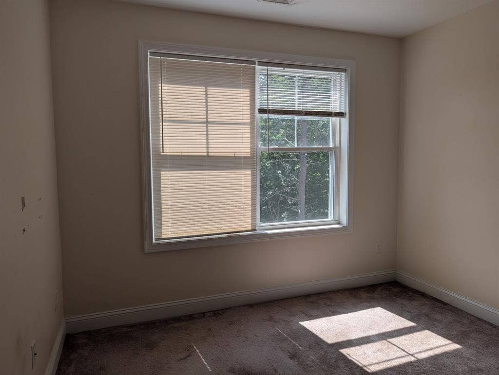 Roommate Needed in Londonderry, NH