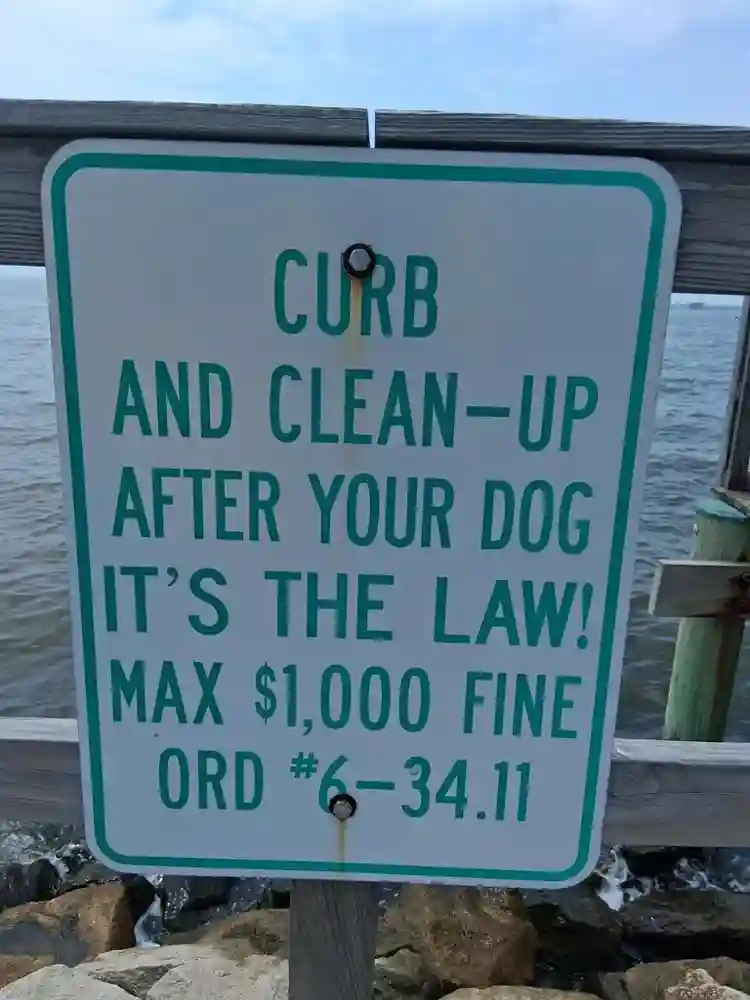 EnJoy Your