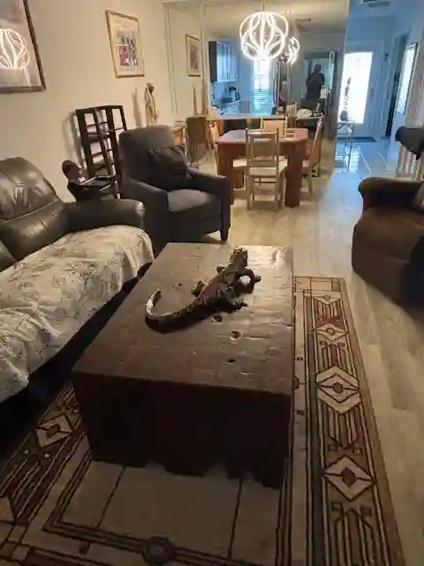Comfortable and Relaxing Home