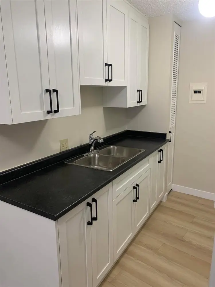 1BRM Condo recently renovated UofA