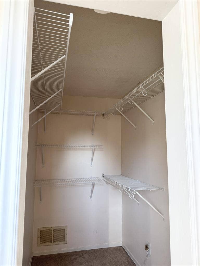Looking for a roommate
