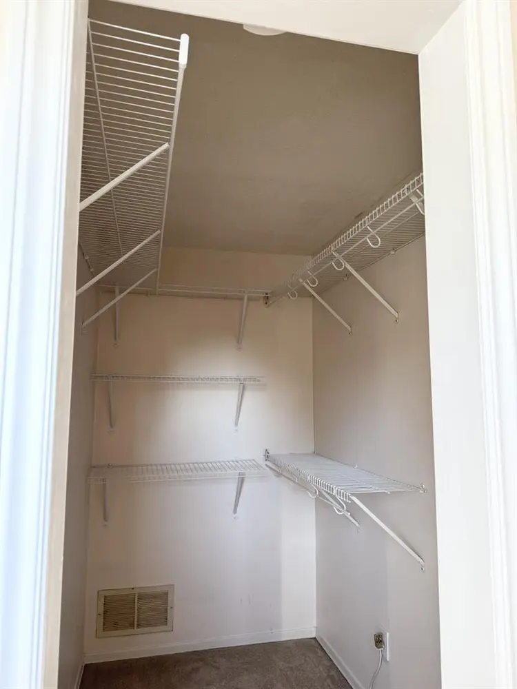 Looking for a roommate