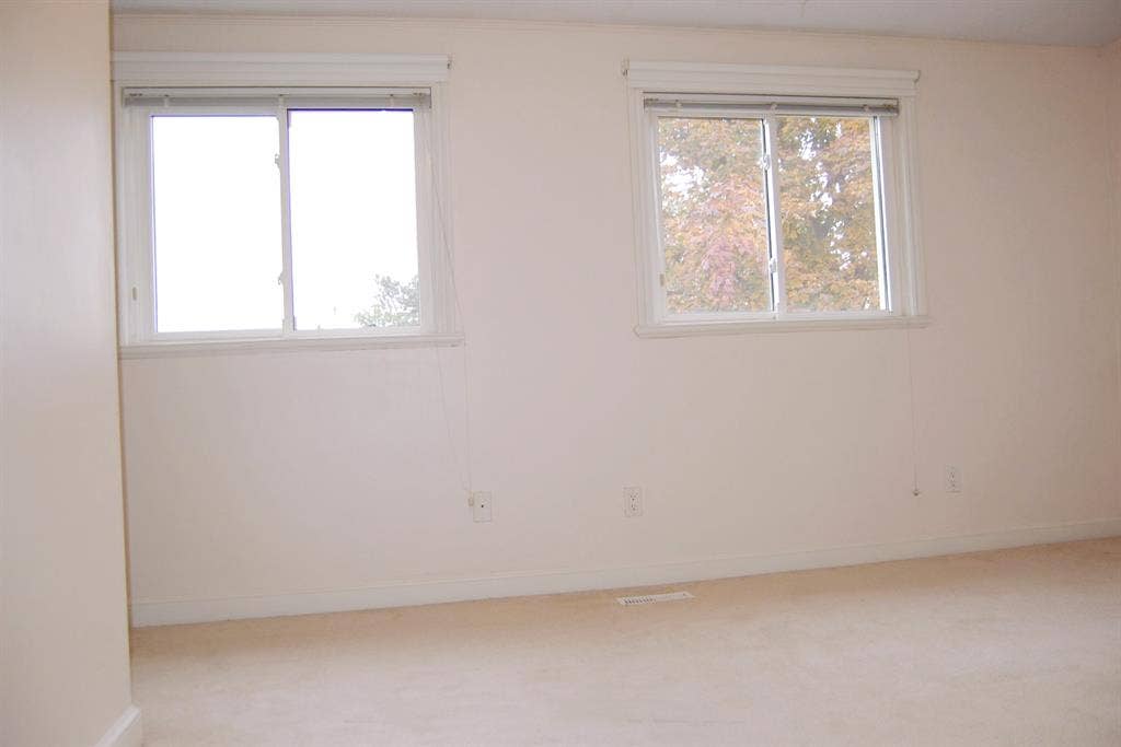 Looking for a roommate