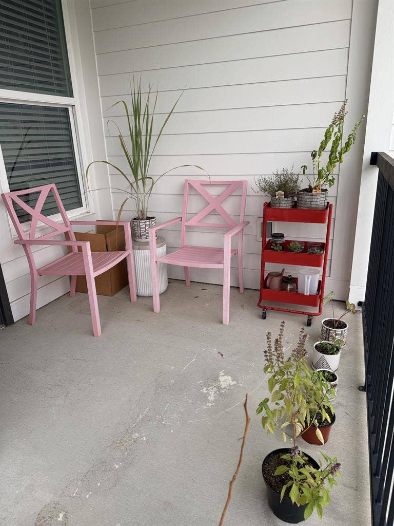 Roommate needed