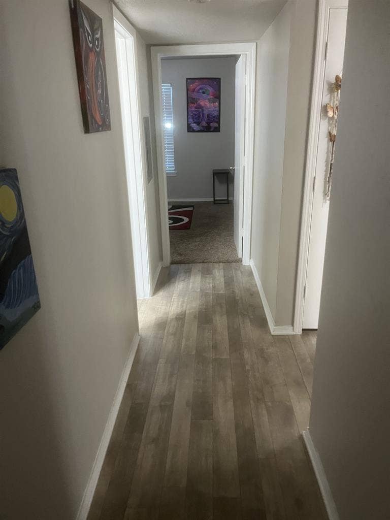 Renting out one bed one bath