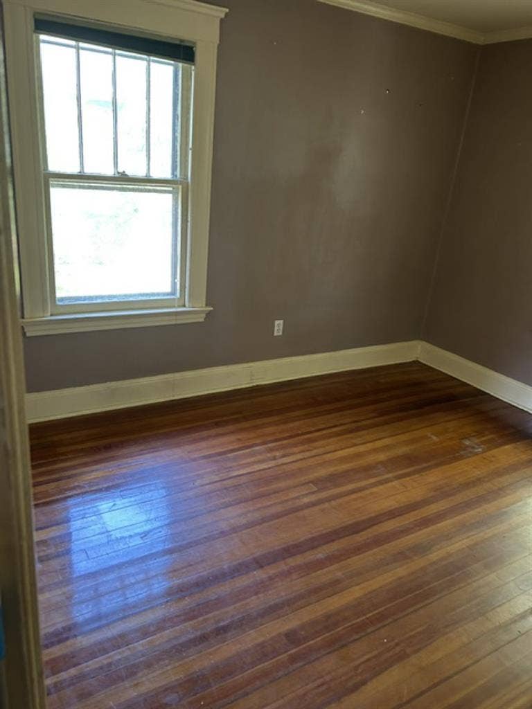 Large room available in LGBT+ home