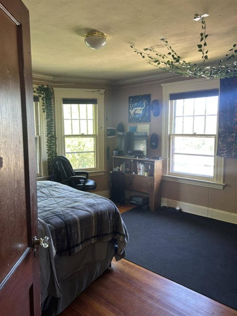 Large room available in LGBT+ home