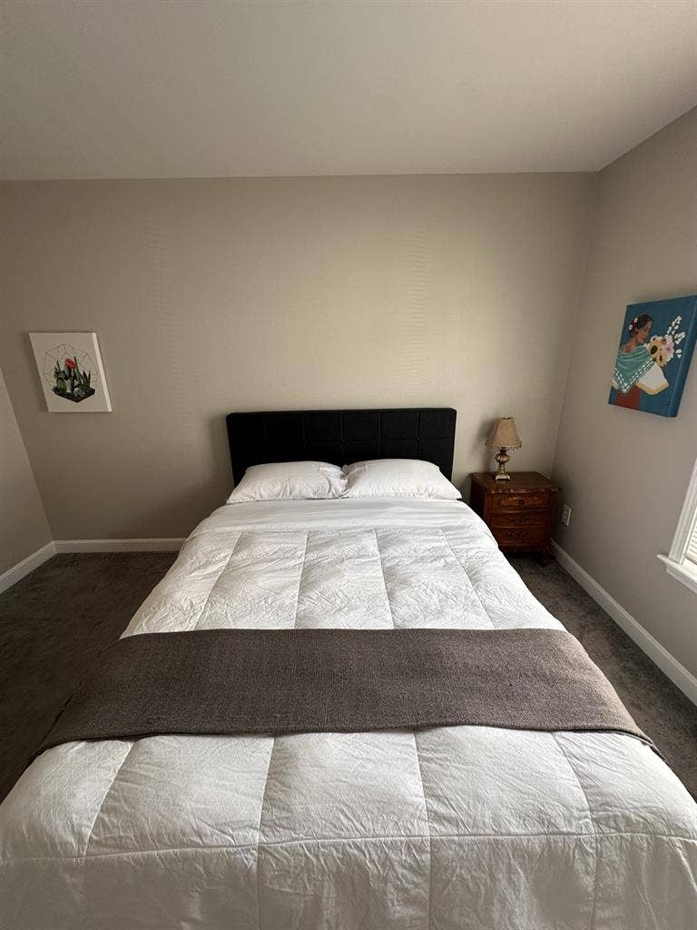 Roommate Want