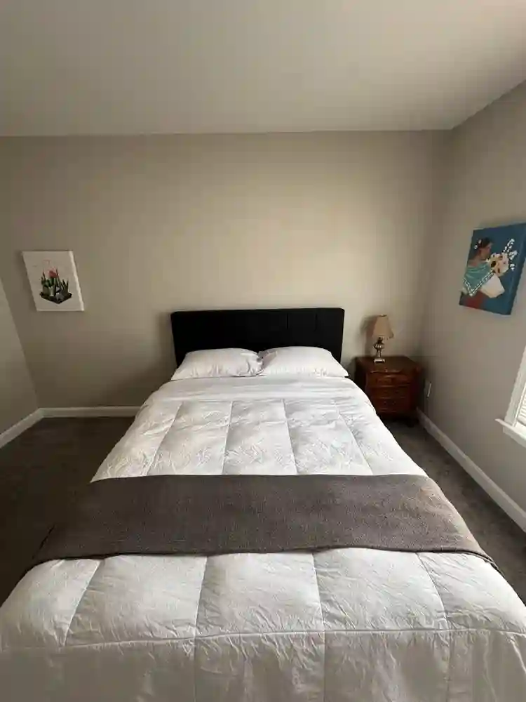 Roommate Want