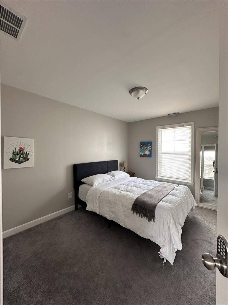 Roommate Want