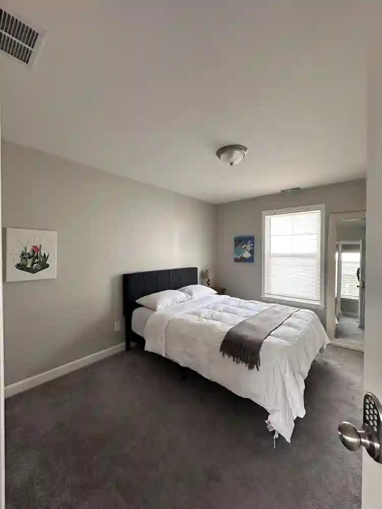 Roommate Want