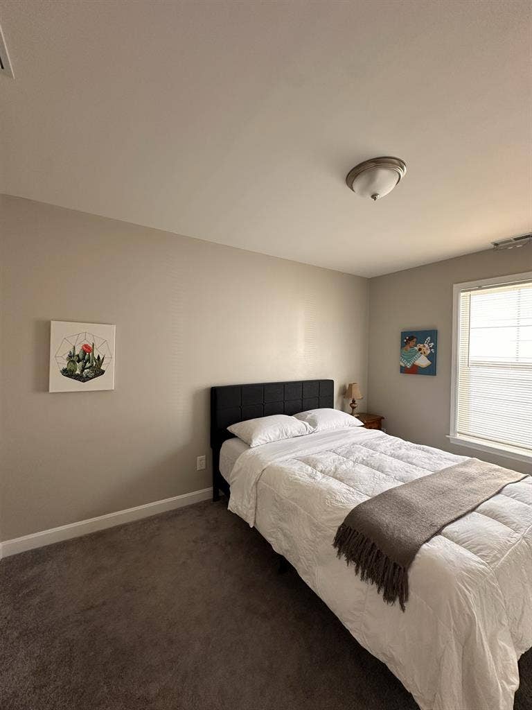 Roommate Want