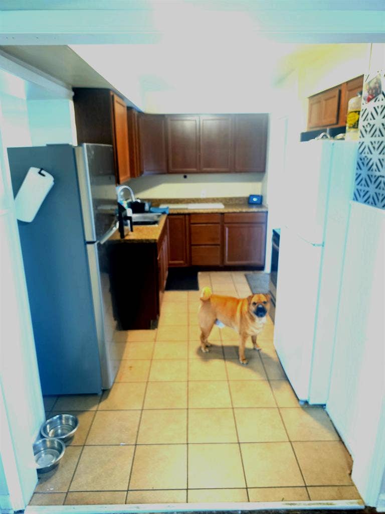 Room in Oak Park Michigan