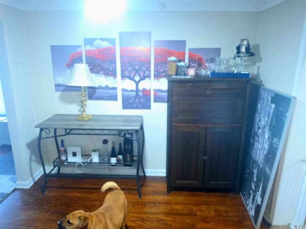 Room in Oak Park Michigan