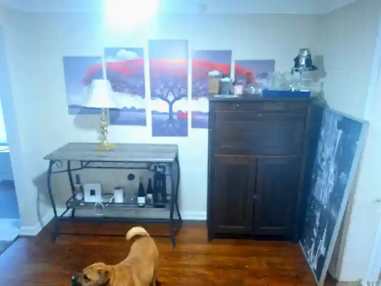 Room in Oak Park Michigan
