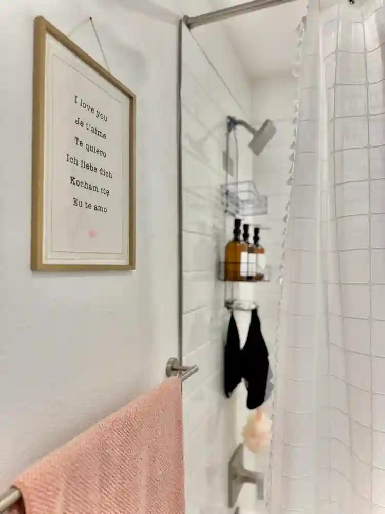 Roommate w/PRIVATE FULL bath