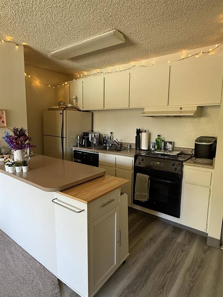 Need Roommate ASAP