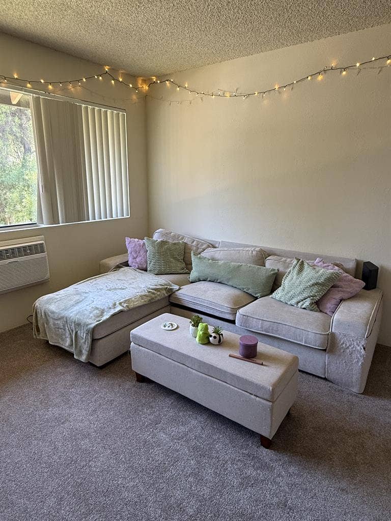 Need Roommate ASAP