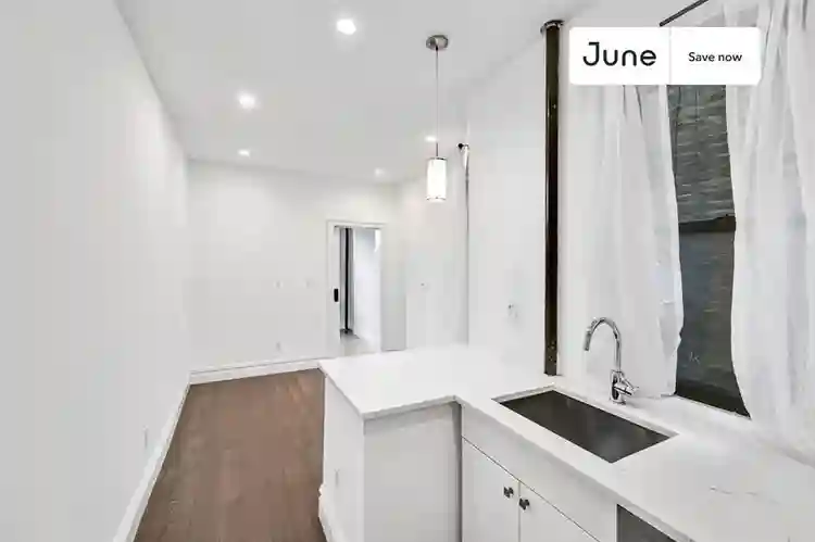 1 BR in New York City