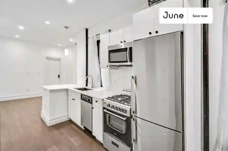 1 BR in New York City