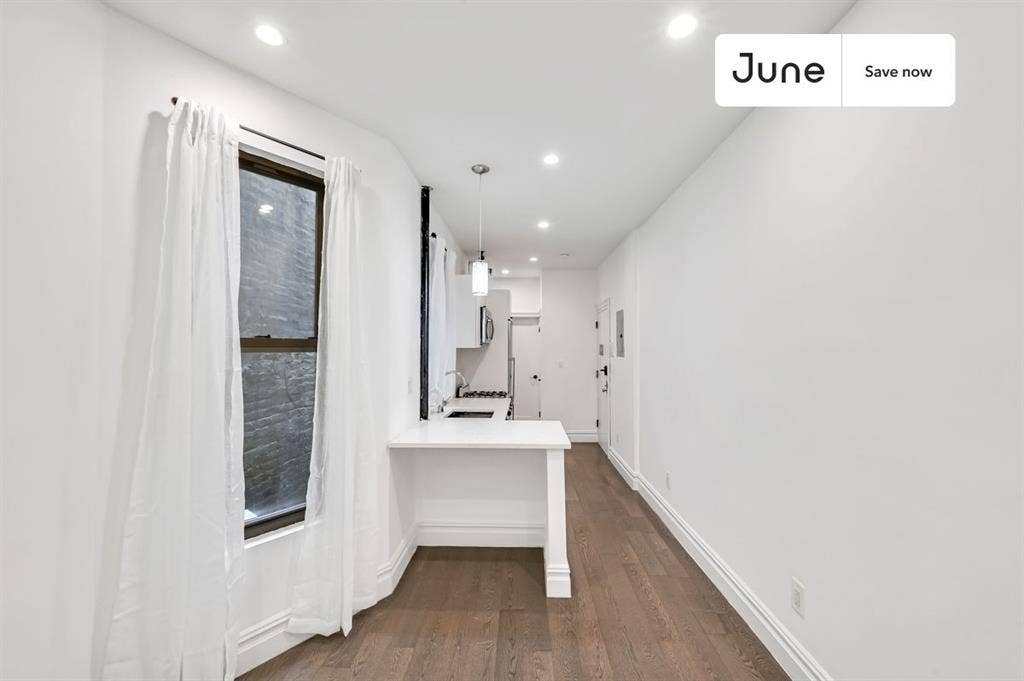 1 BR in New York City