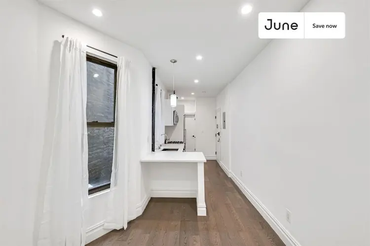 1 BR in New York City