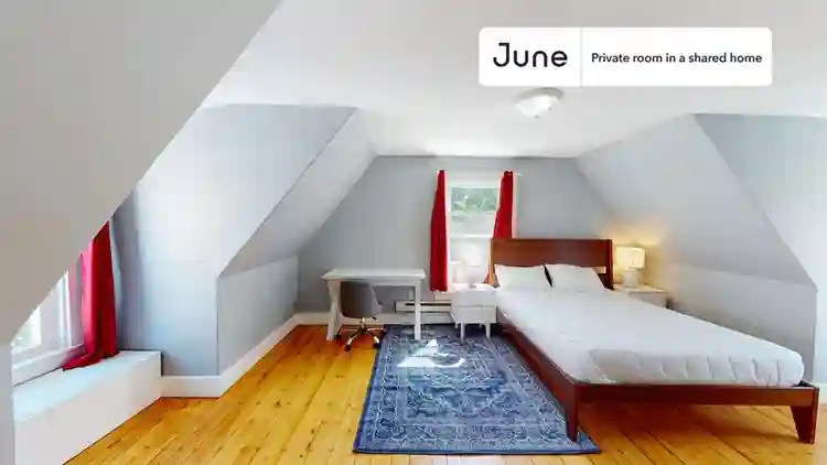 7 BR in Boston