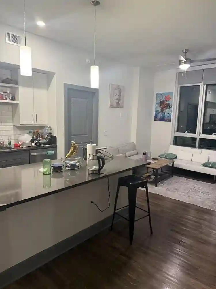 Roomate needed in my 2b2b
