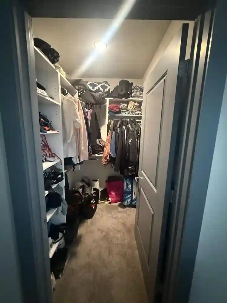 Roomate needed in my 2b2b