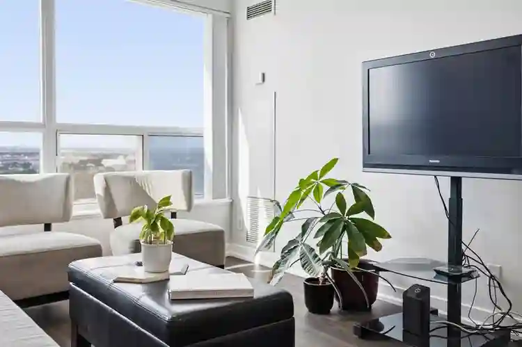 Furnished Private Room