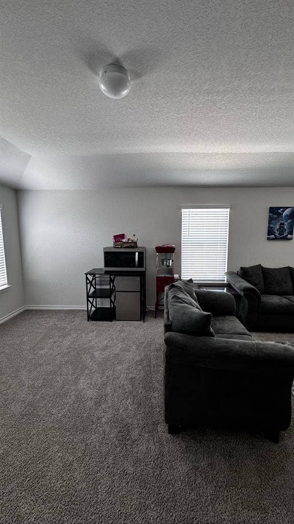 Spacious Bedroom – Alamo Ranch
