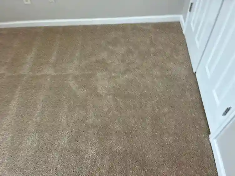 3 BR in East Point
