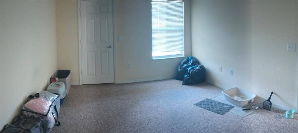 CLEARWATER ROOM FOR RENT